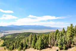 Gold Creek 206