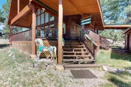 Painted Pony Cabin