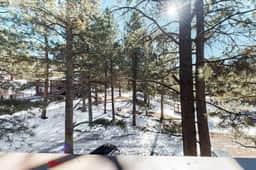 Redwood Commons B12