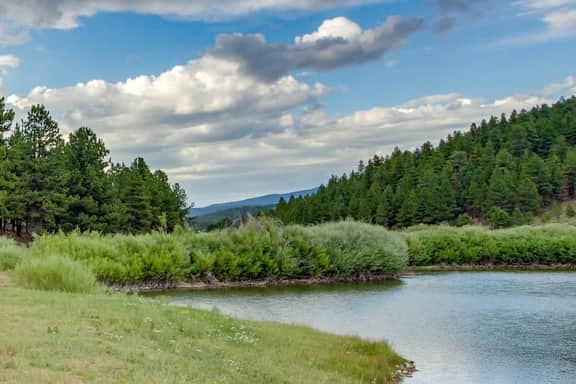 Gold Creek 208